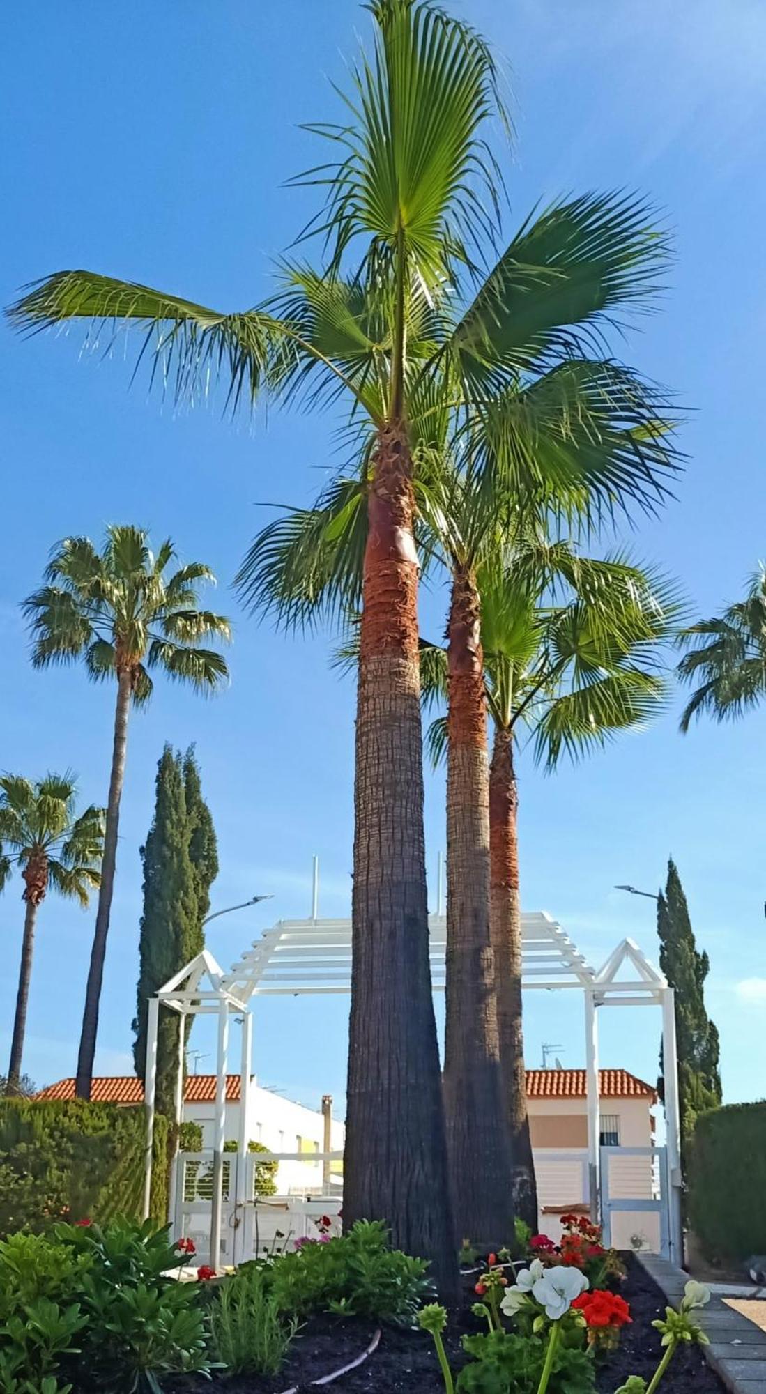 Hospedium Hotel Blu Torre De Sevilla Torre de la Reina ภายนอก รูปภาพ